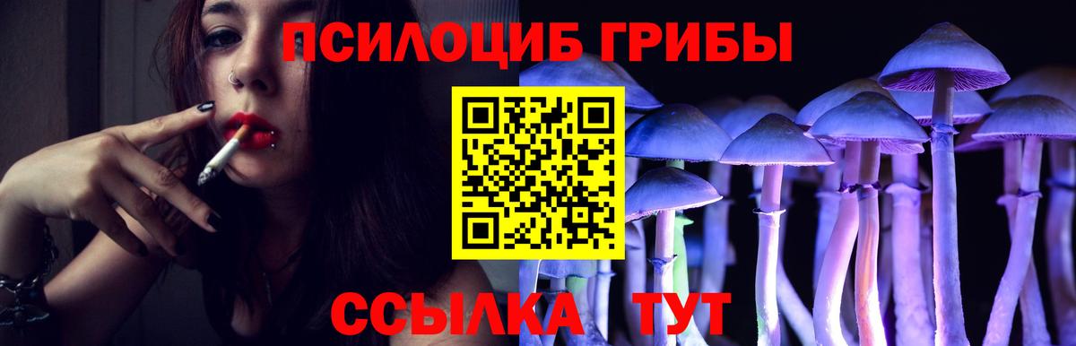 купить   Вход с VPN  Волгодонск  Галлюциногенные грибы ЛСД  Псилоцибиновые грибы MAGIC MUSHROOMS 